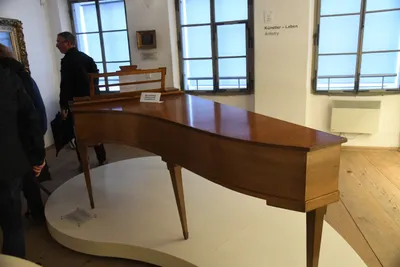 DSC_6230 (Large).JPG